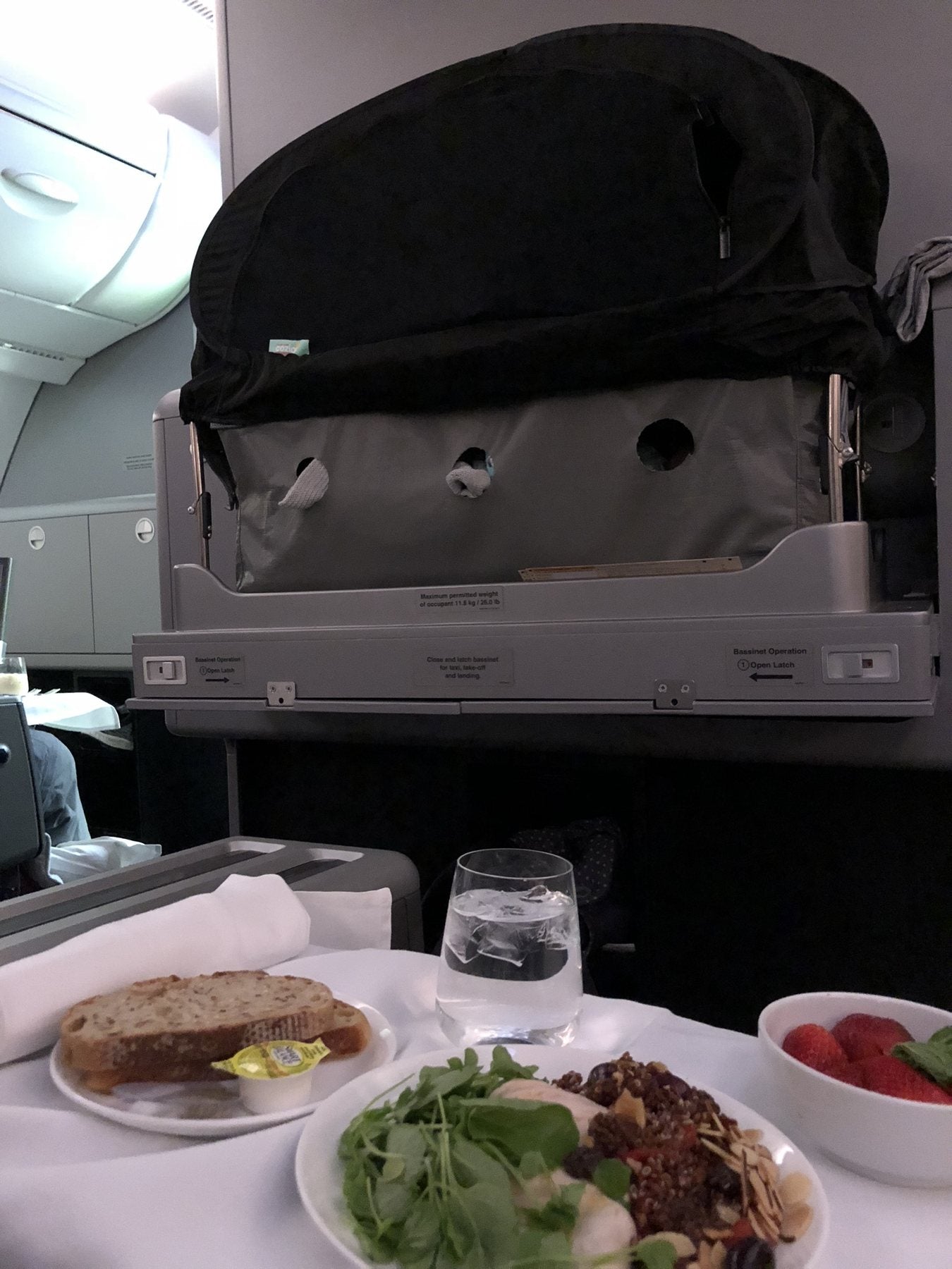 A CoziGo cover fitted over an airline bassinet